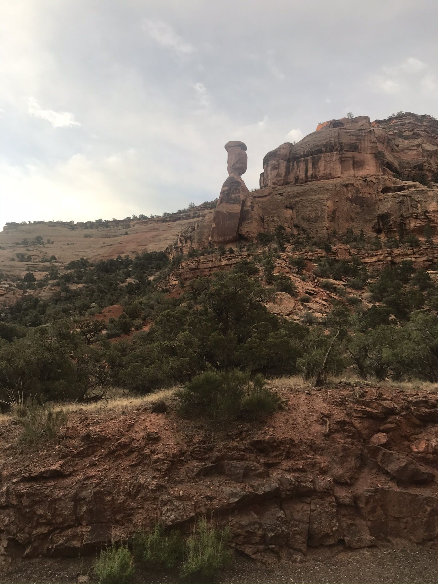 A tall, slender rock formation stands amidst green desert shrubs under a cloudy sky. - Colorado National Monument Visitor Center via Rim Rock Drive