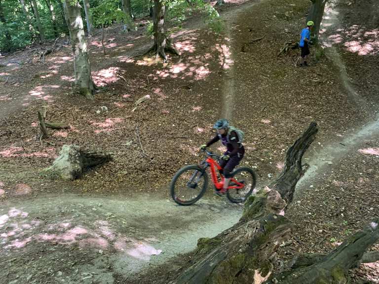 friston forest cycling