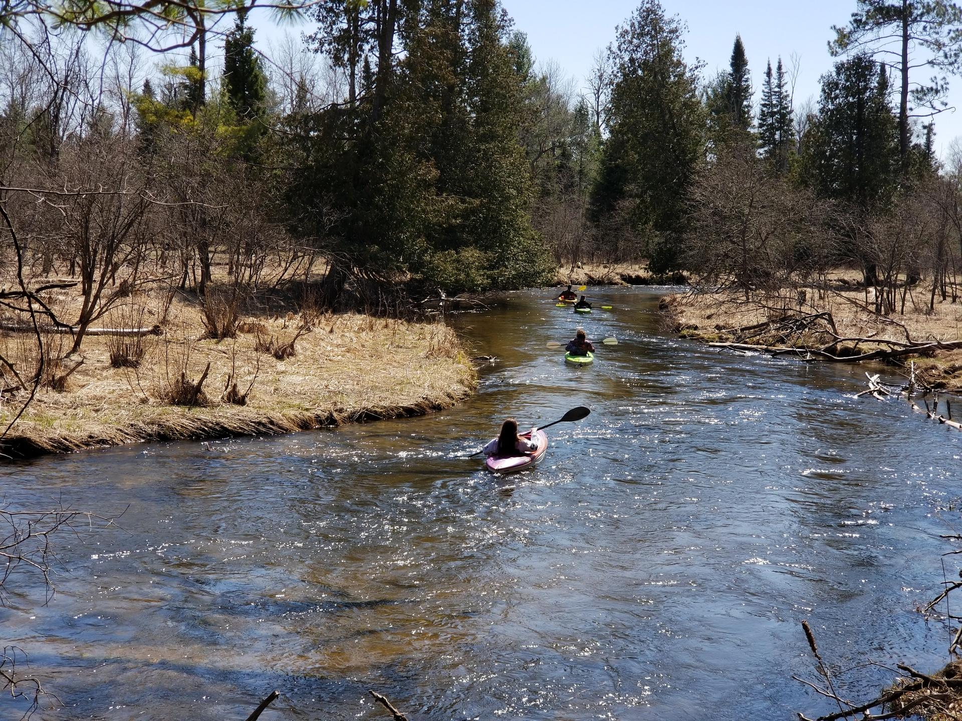 Muncie Lakes Pathwayループ — Pere Marquette State Forest