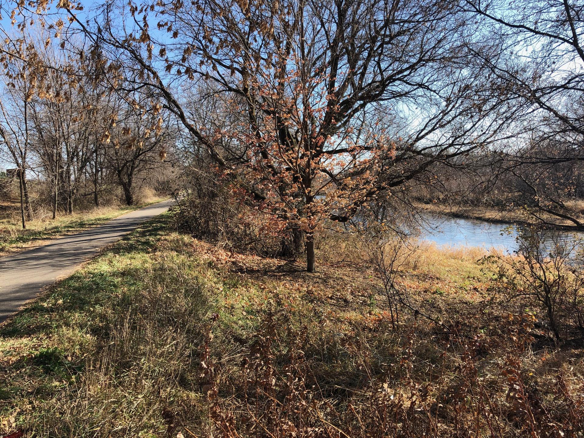 Paved path alongside a river, with trees displaying autumn foliage.