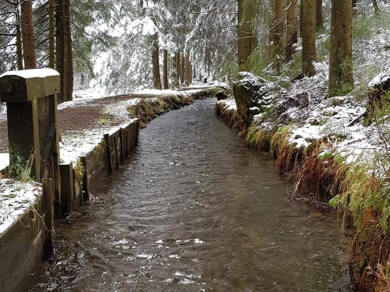 Kuttelbacher Teich Grumbacher Teich Runde von Hahnenklee Wanderung