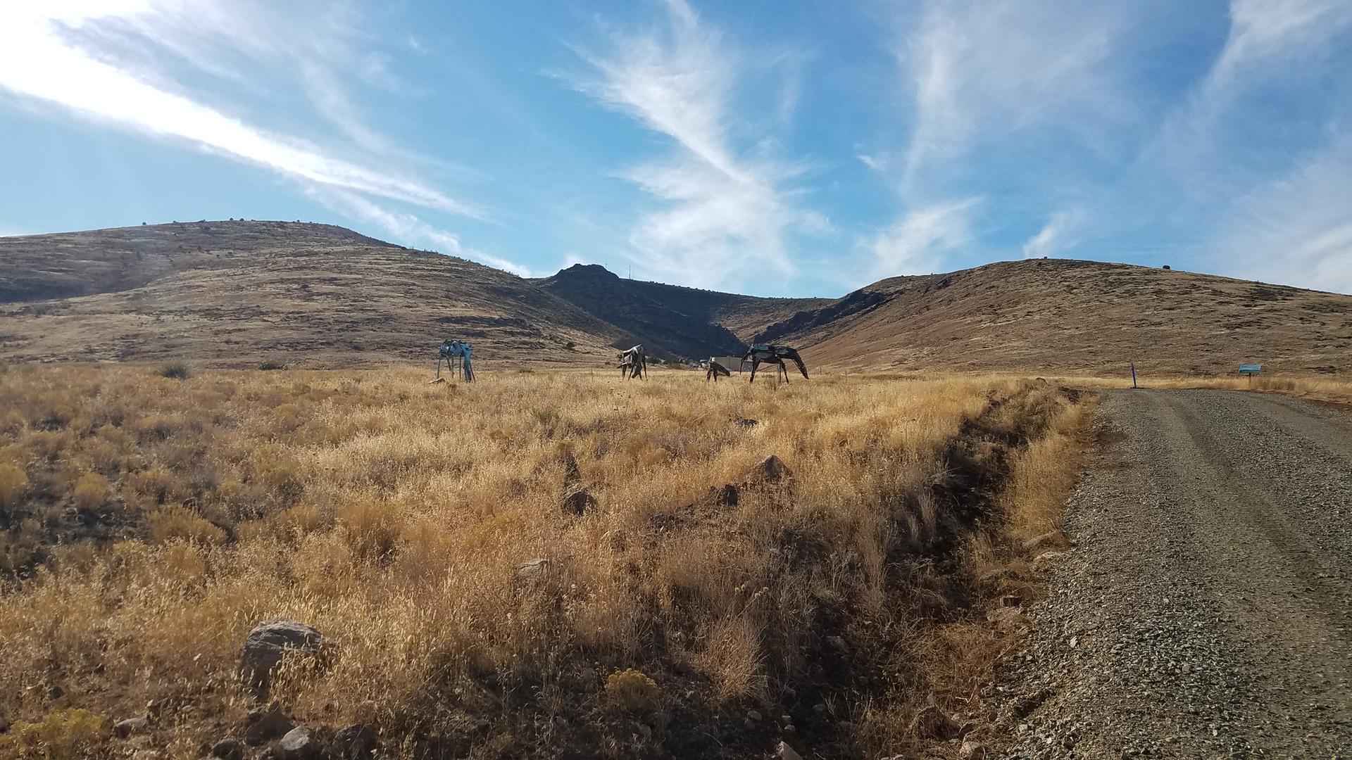 Dry grassy field with hills, a dirt road, and animal sculptures under a bright sky.