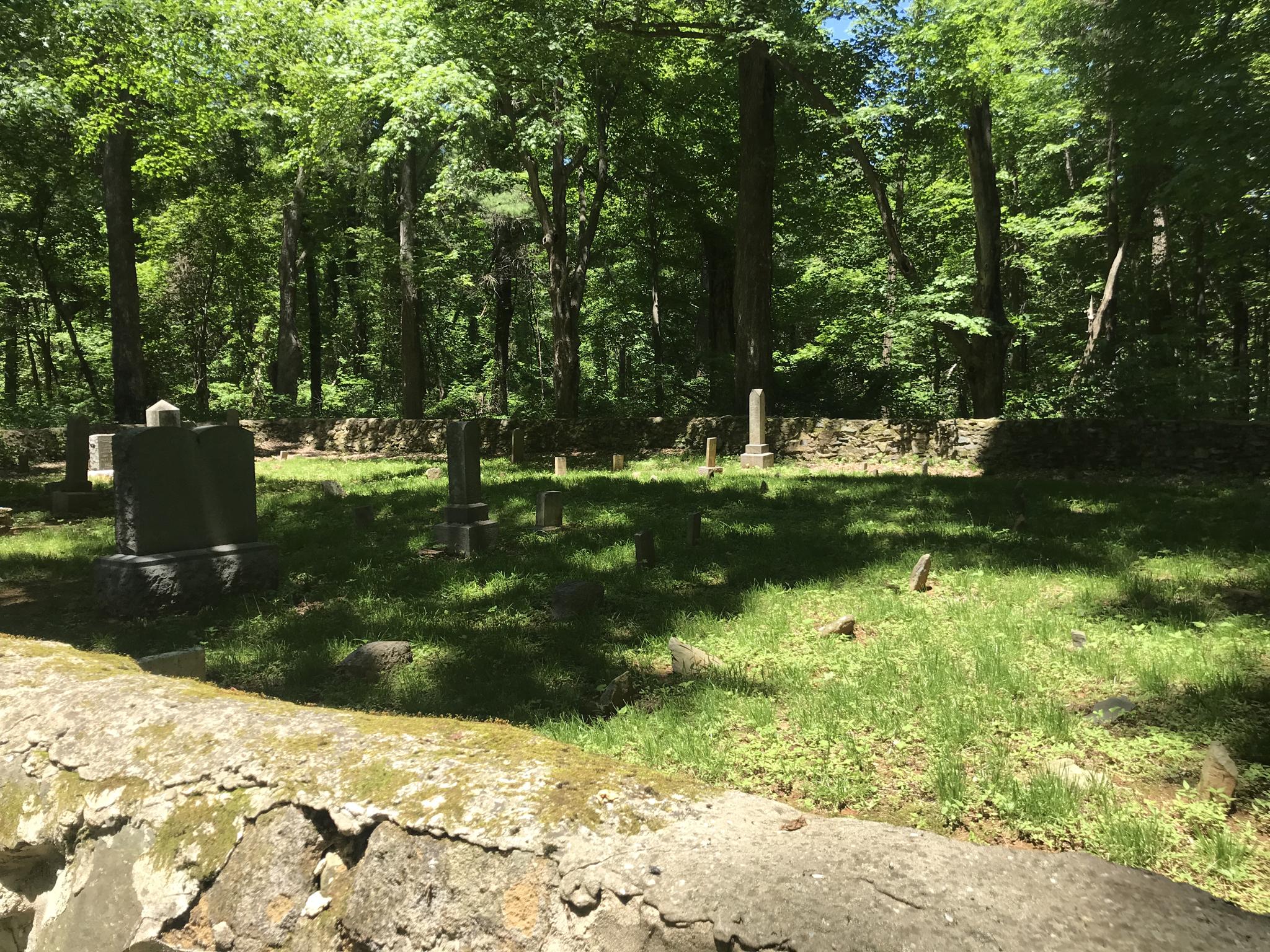 Old gravestones in a grassy, sun-dappled forest clearing with stone walls.