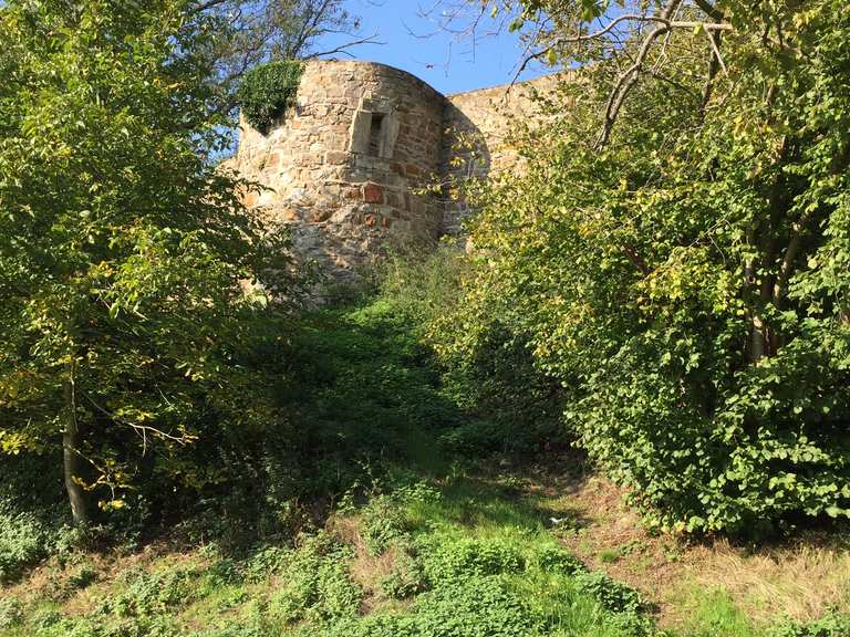 Burg Wilhelmstein Wanderungen und Rundwege komoot