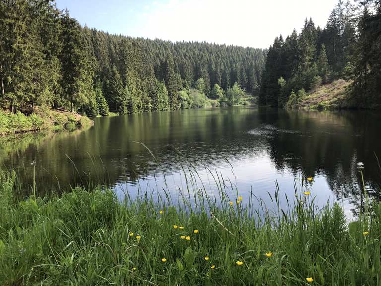 43+ Neuer Grumbacher Teich, Entdeck die besten wanderungen und