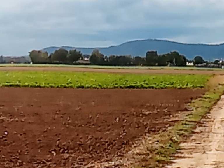 Kraut- und Rübenweg Abschnitt - fietsroutes en kaart | Komoot