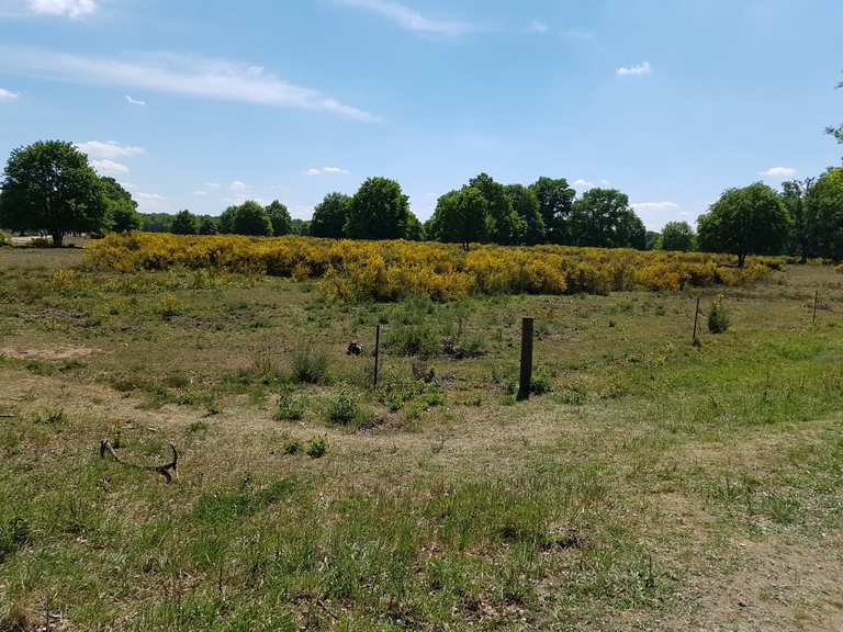 Wahner Heide Rösrath, RheinischBergischer Kreis