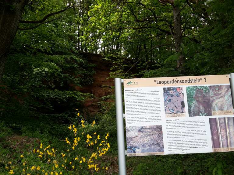 Blick zum Donnersberg – Igelborner Hütte Runde von Winnweiler ...