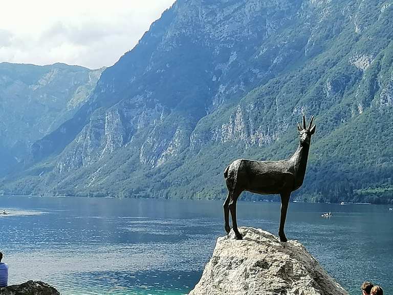 Zlatorog (Goldhorn) Mountain Bike Trails & Tracks Komoot