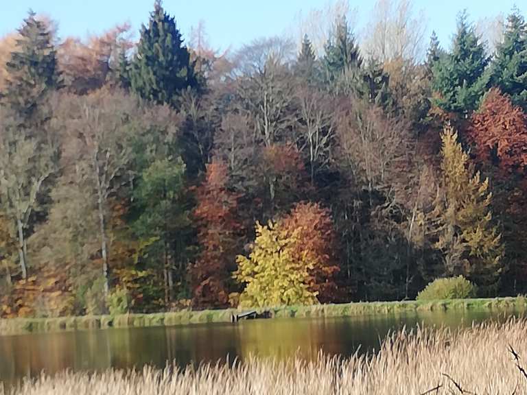 An den Teichen Wanderungen und Rundwege komoot
