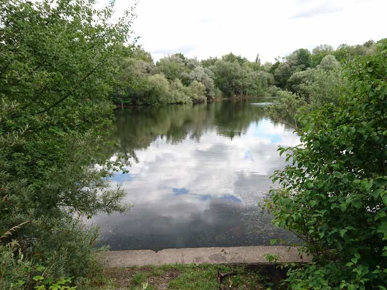 Dreiecksee unbekannte Idylle mit einigem anliegenden Unrat Berlin