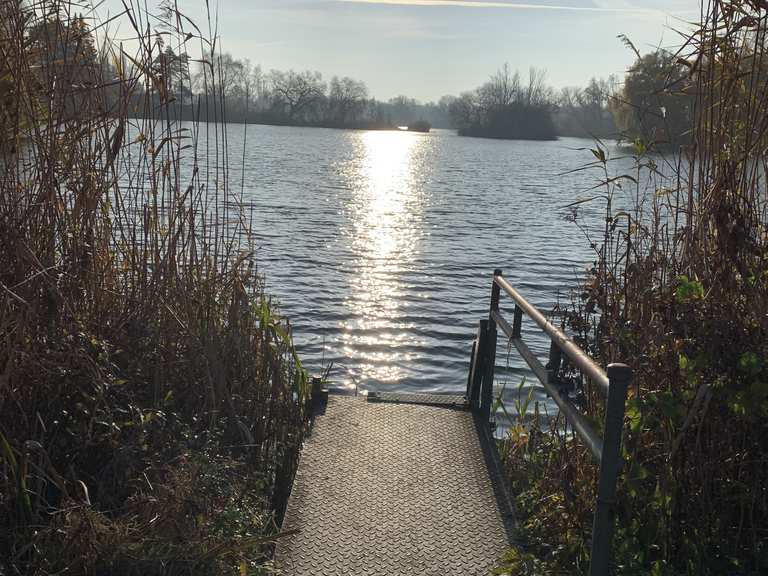 Seeblick am Grünen Dreieck Wanderungen und Rundwege komoot