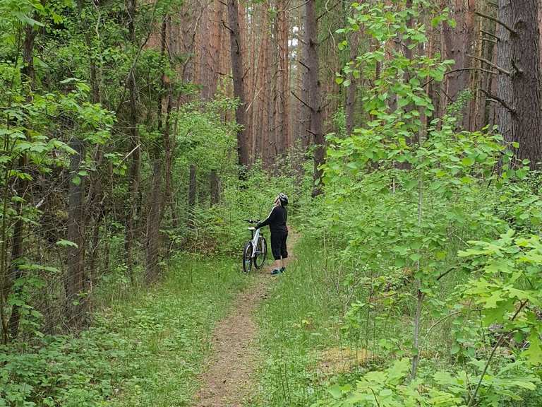 Weiße Häuser zwischen Granzow und Schillersdorf Radtouren und Radwege
