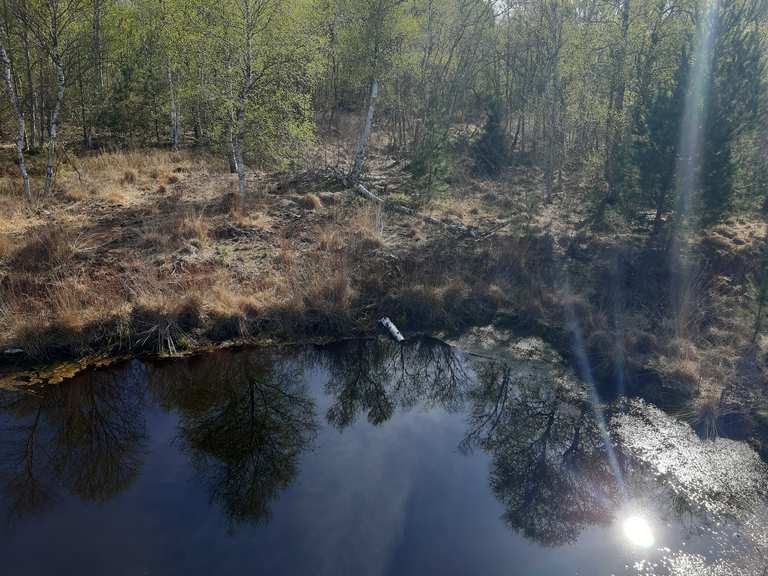Wunderschönes Moor Hude (Oldenburg), Oldenburg Wanderweg Komoot