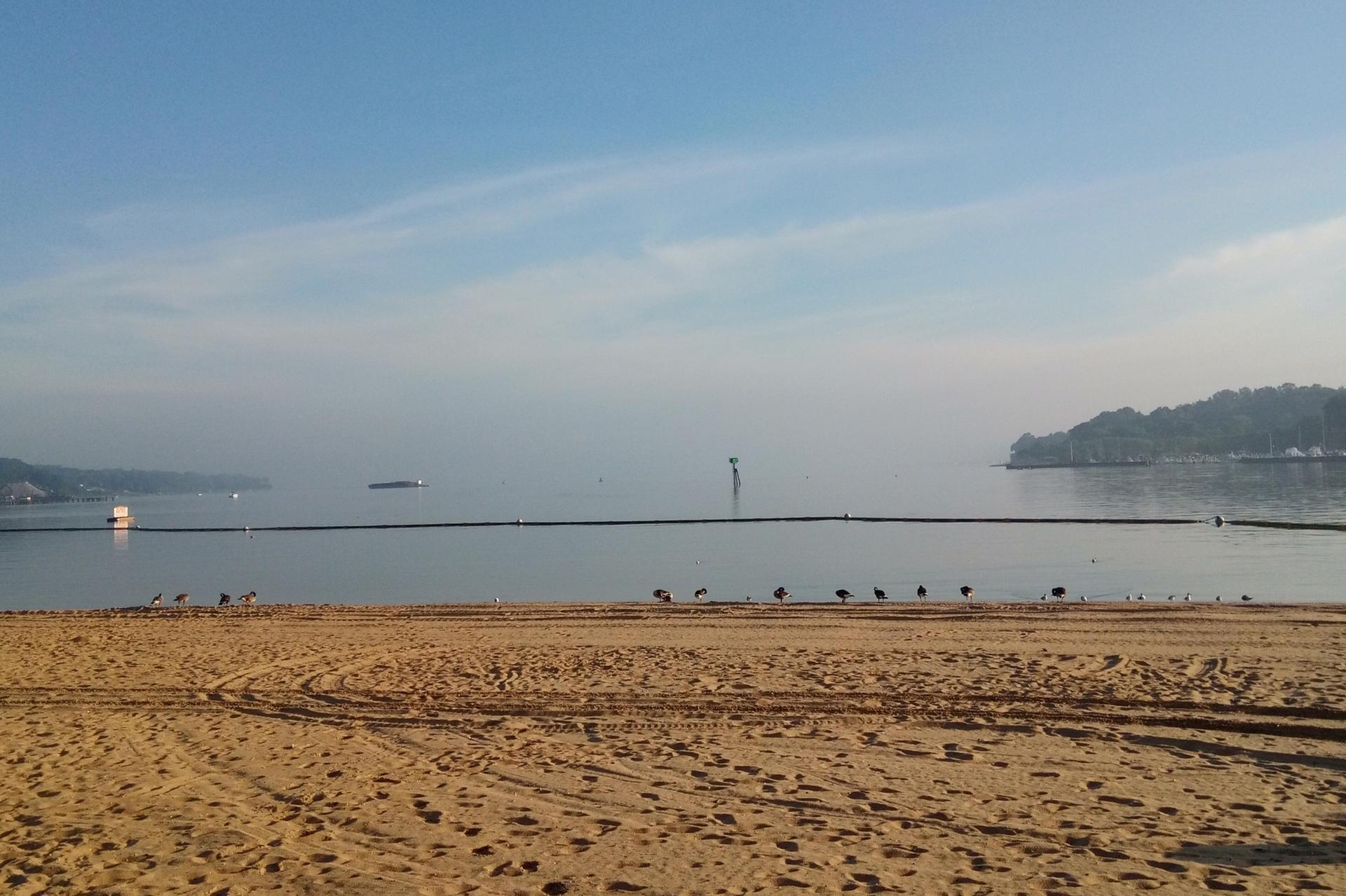 Sandy beach with birds, calm water, and distant forested land under a clear sky.