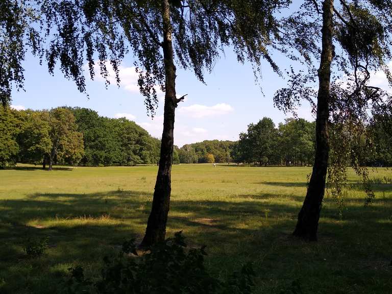 Volkspark Rehberge Wanderungen und Rundwege komoot
