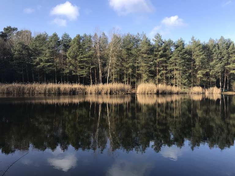 See in der Nähe vom Fährhof Wanderungen und Rundwege komoot