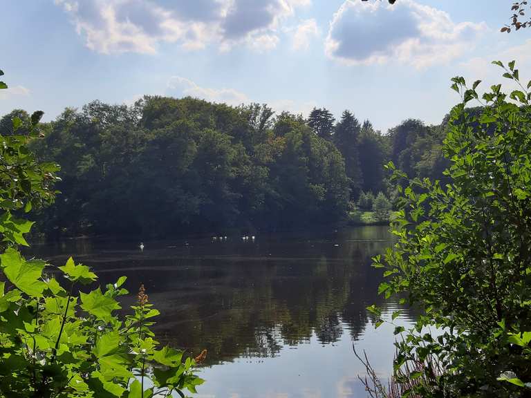 Manhagener Teich Wanderungen und Rundwege komoot