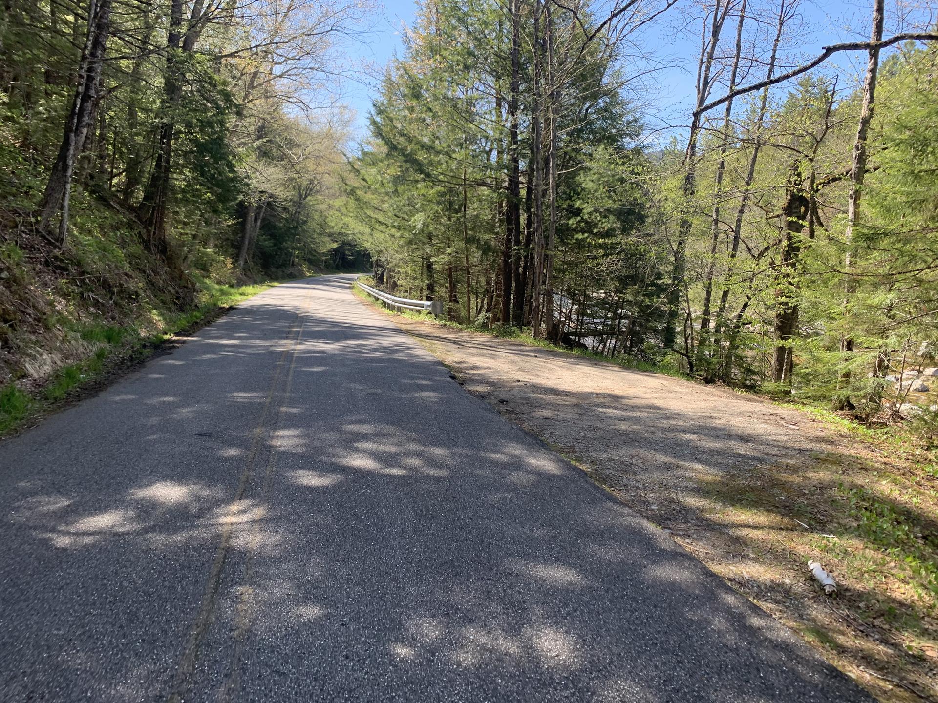 Paved road and dirt path winding through a sunlit forest.
