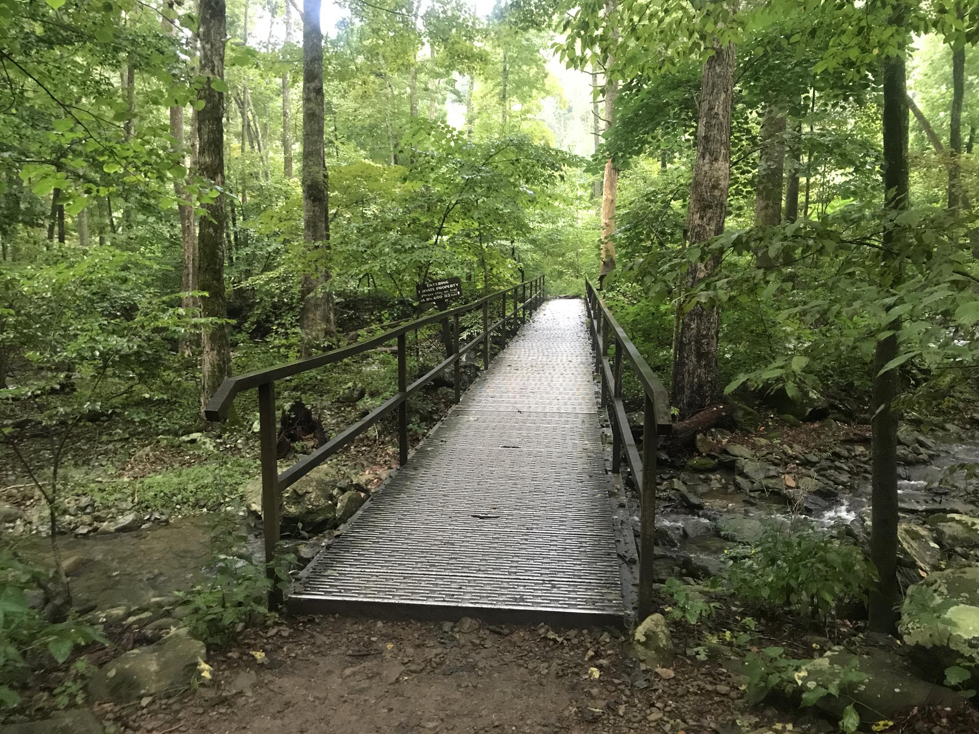 A metal footbridge crosses a rocky stream in a green, wooded area.