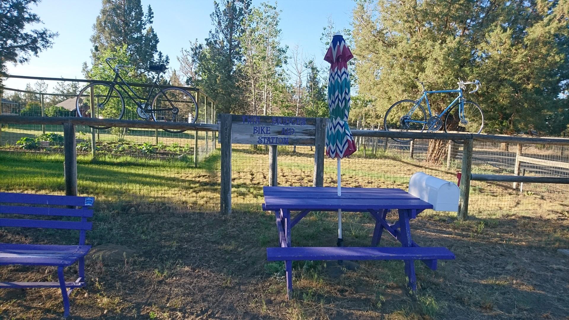 Purple picnic table and bench with bicycles mounted on a wooden fence.