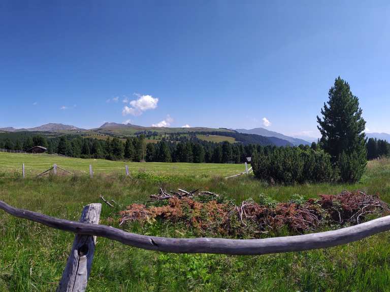 Villanderer Alm Marzuner Schupfe Runde von Villanders Villandro