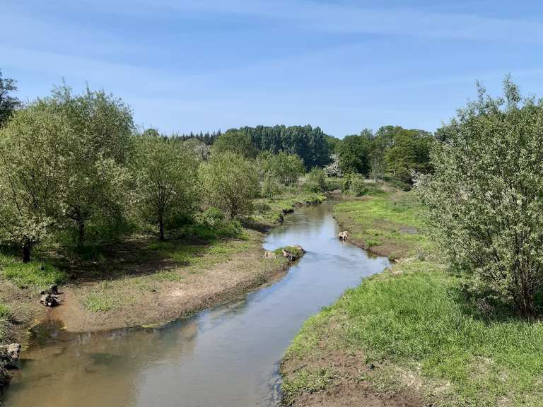 Bever mündet in der Ems - Telgte, Warendorf | Radtouren ...