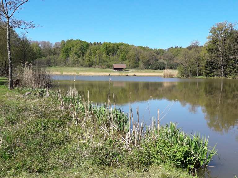 Neumühlsee GnadentalerStausee Runde von Bibersfeld Fahrradtour