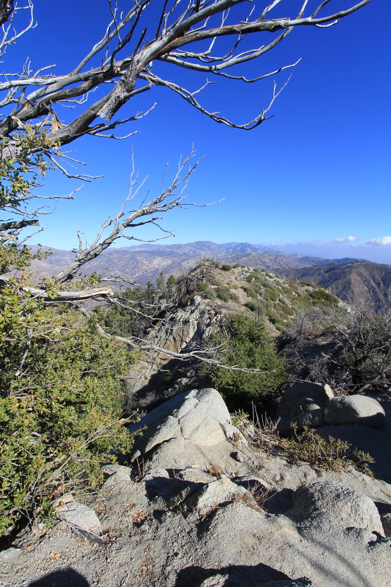 Rocky mountain ridge under a clear blue sky, with bare branches in foreground.