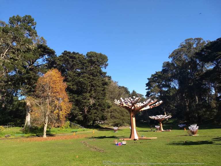 Peacock Meadow Cycle Routes and Map Komoot