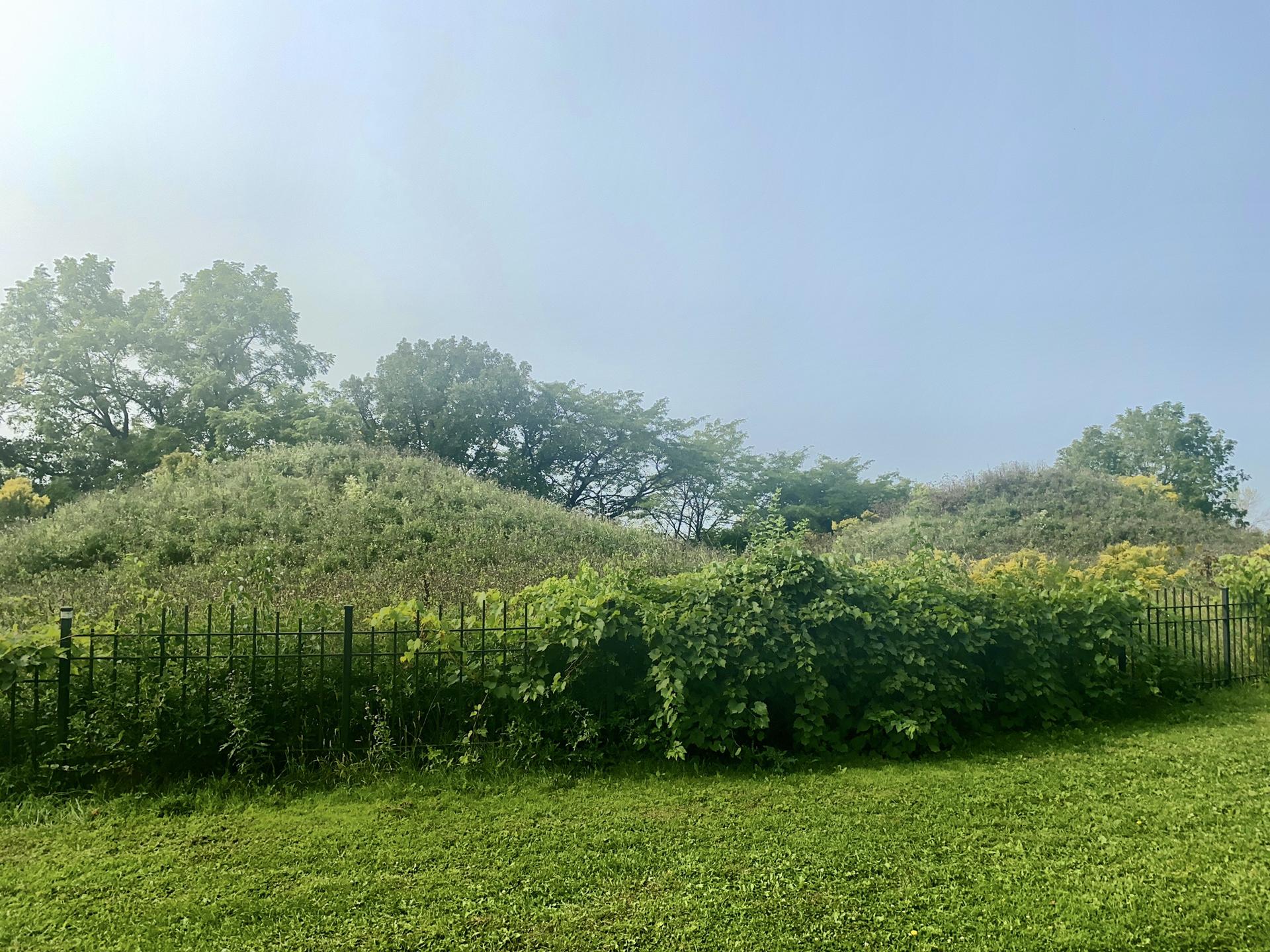 Overgrown grassy hills with trees and a black metal fence under a hazy sky.
