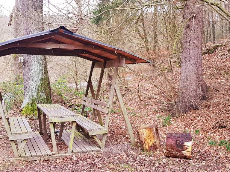 Niemanns Villa Ulrich Teich Runde Von Allersheim Wanderung Komoot