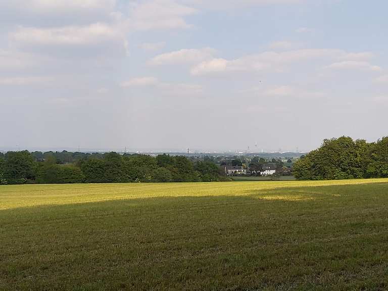 Königsdorfer Wald fietsroutes en kaart | Komoot