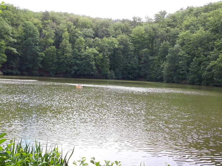 Schönsee Routes for Walking and Hiking | Komoot