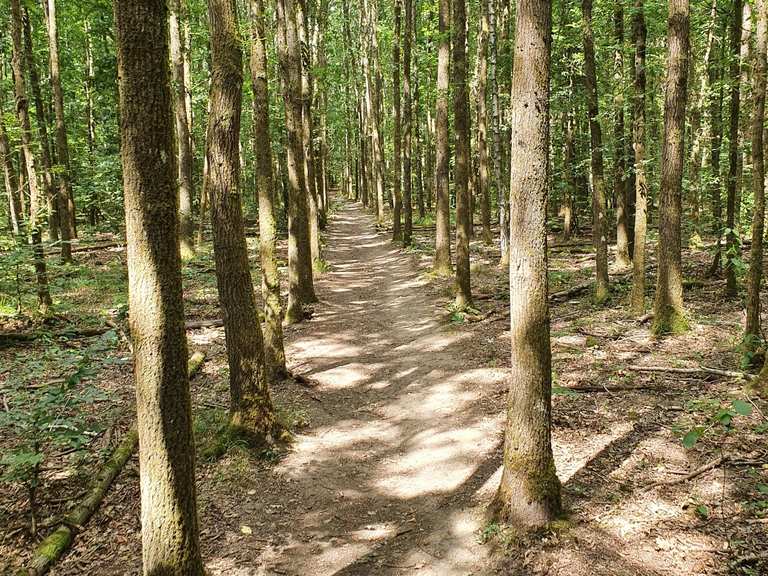 Tal der Stille - Routes for Walking and Hiking | Komoot