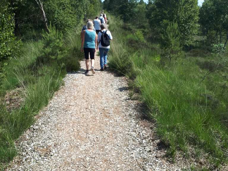 Naturlehrpfad Im Teufelsmoor Worpswede Osterholz Wanderweg Komoot