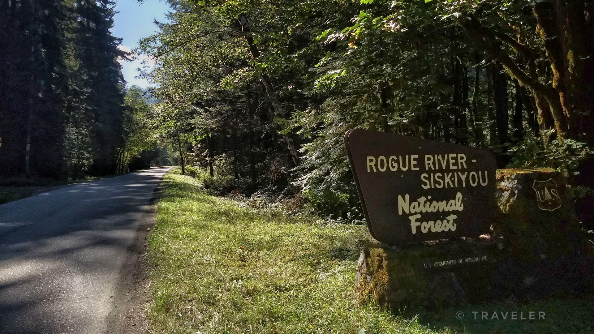 Roadside sign for a national forest next to a paved road and dense trees.