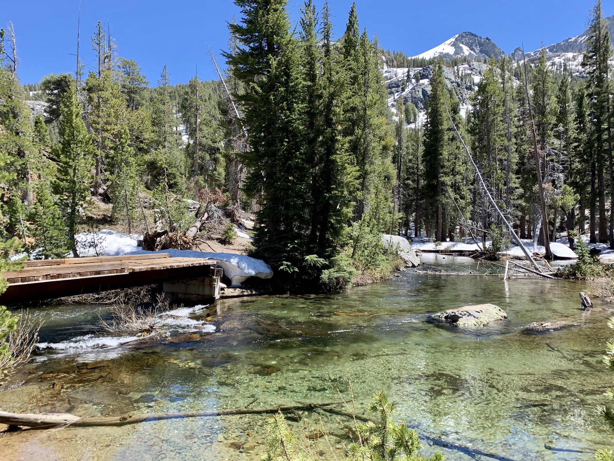 Sunny view of a clear stream with a wooden bridge, surrounded by pine trees and snow.