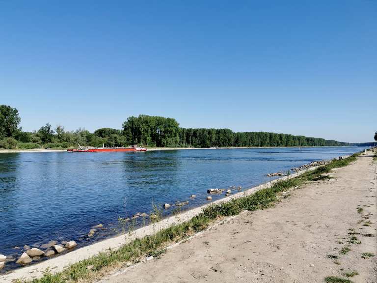Alte Drehbrücke zur Insel Rott – Blick zum Alt-Rhein Runde von ...