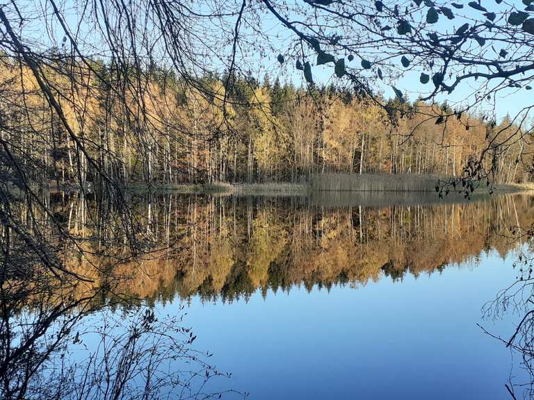 Alte Elisabeth Badestelle "Großer Teich" Itinerario ad anello da