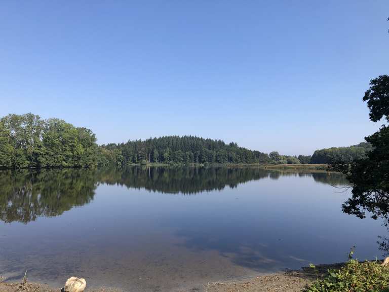 Rößlerweiher MountainbikeTouren und Trails komoot