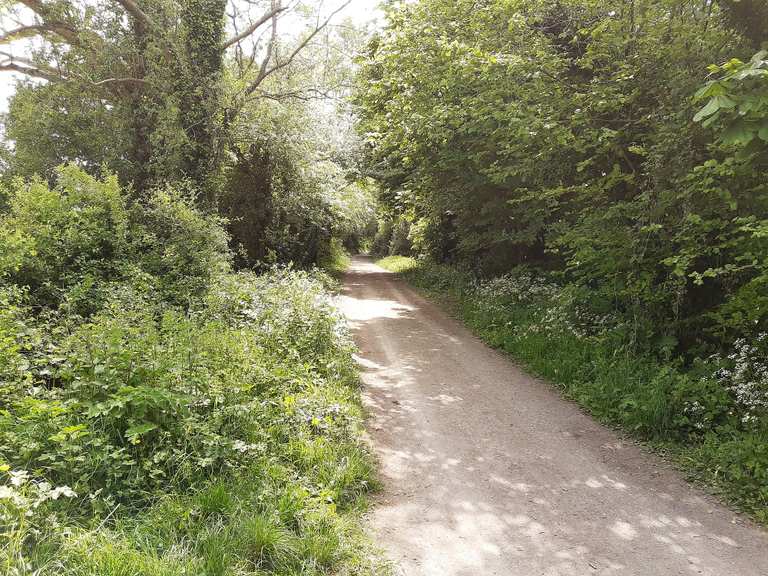 meon valley cycle trail