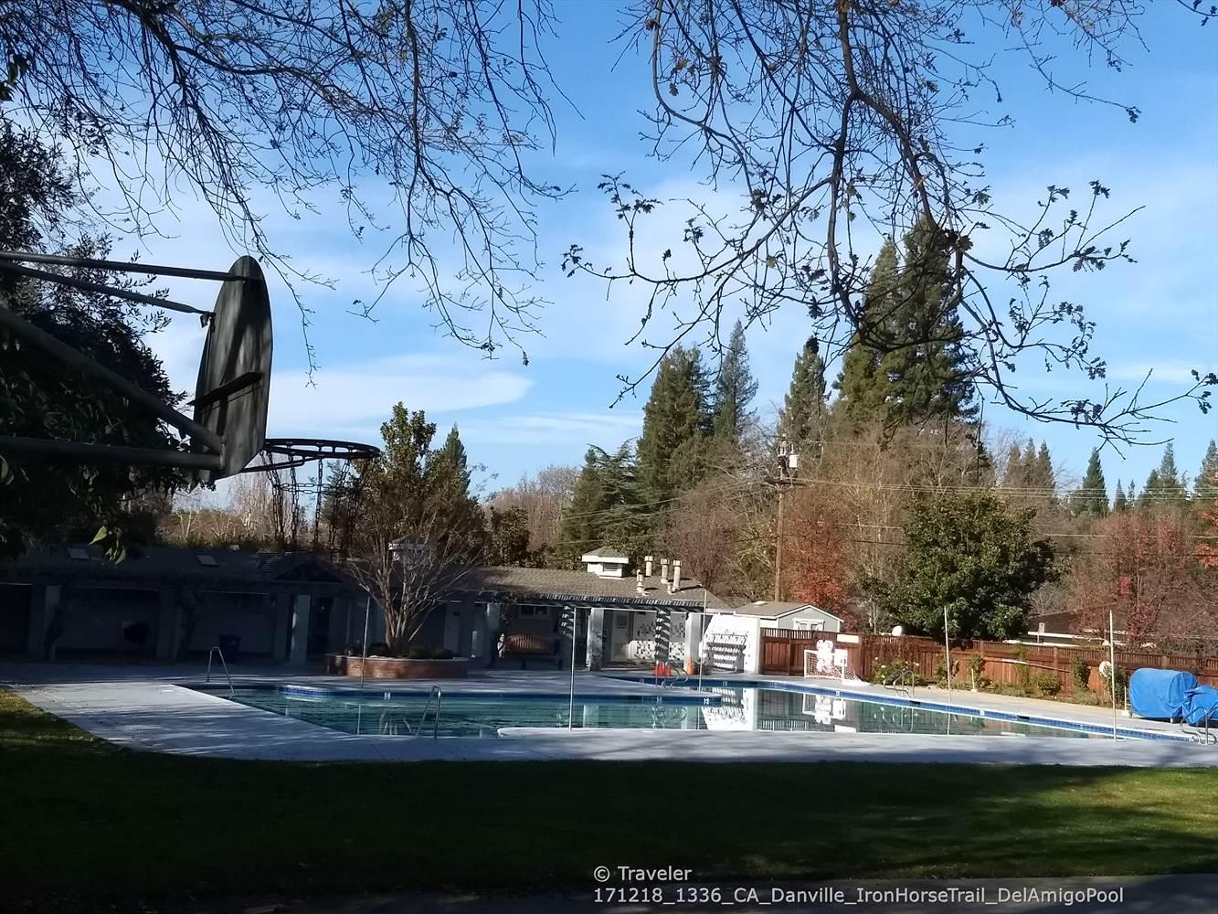 An outdoor swimming pool surrounded by bare trees and buildings on a sunny day.