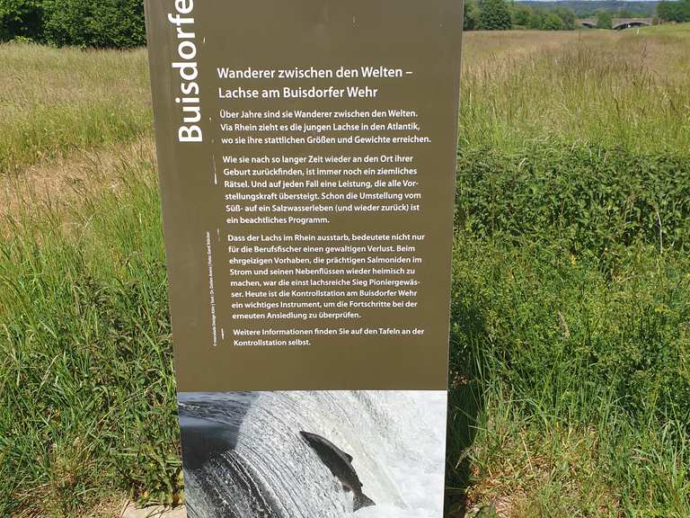 fahrrad feld sankt augustin email adresse