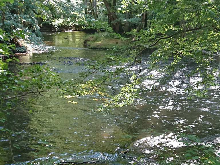 Path Along the Cure River Routes for Walking and Hiking | Komoot
