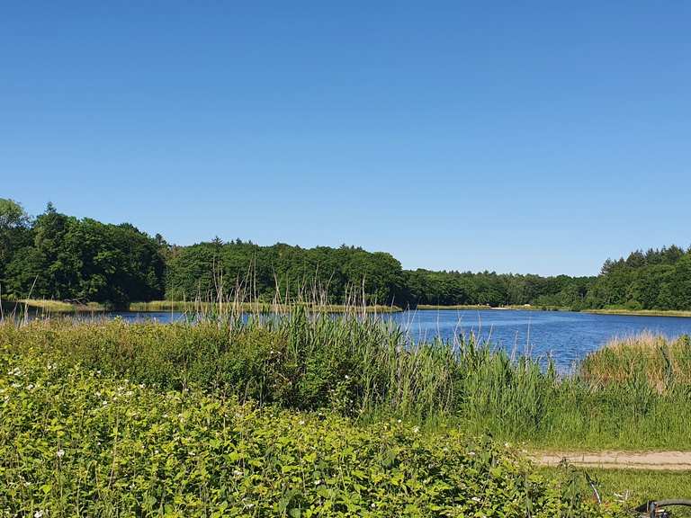 Bredenbeker Teich Radtouren und Radwege komoot