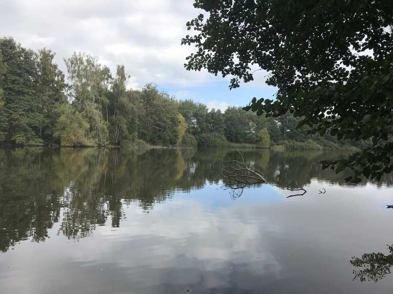 Timmenhorner Teich Radtouren und Radwege komoot