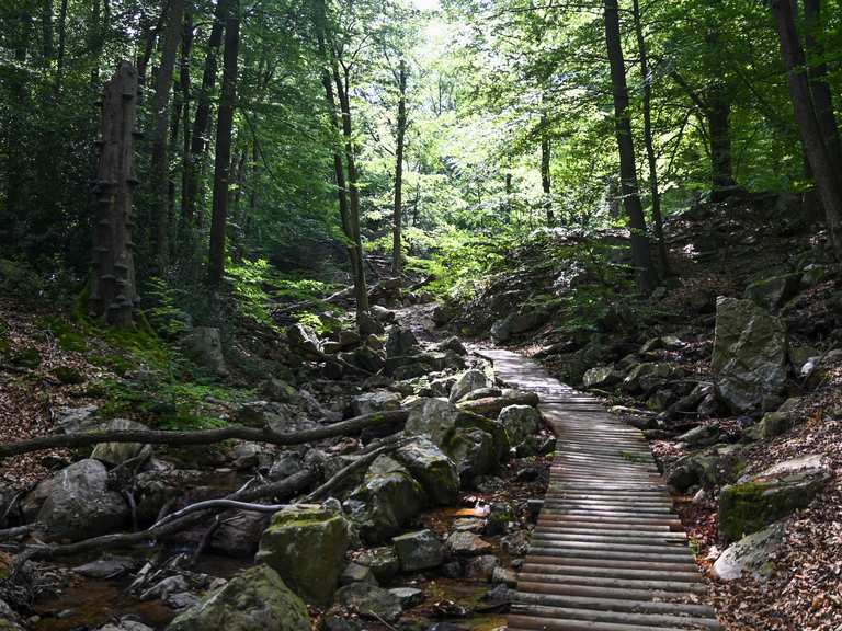 Belle montée vers la source de la Géronstère Itinéraires de rando et marche Komoot