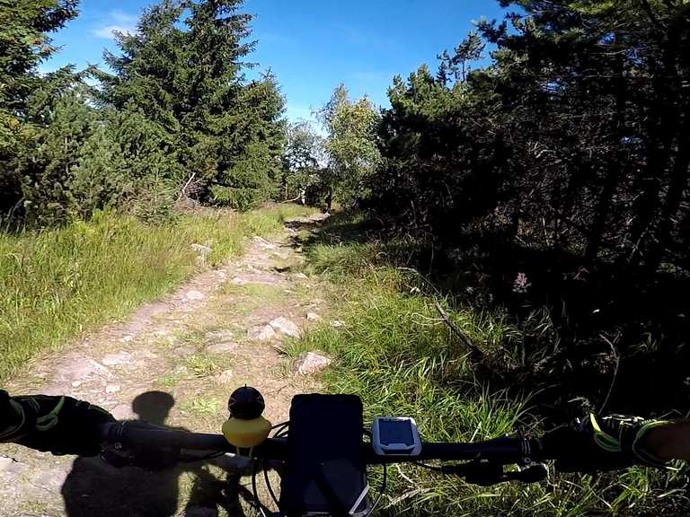 Wüster Teich Kahleberg Runde von Altenberg (Erzgeb) Mountainbike