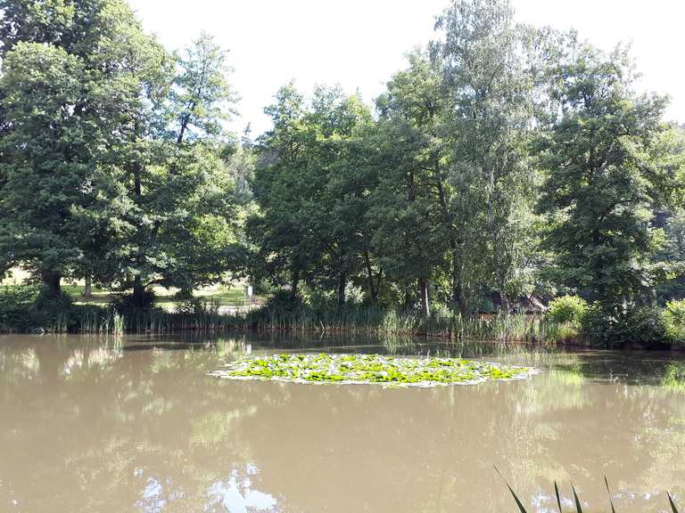 Schönsee Routes for Walking and Hiking | Komoot